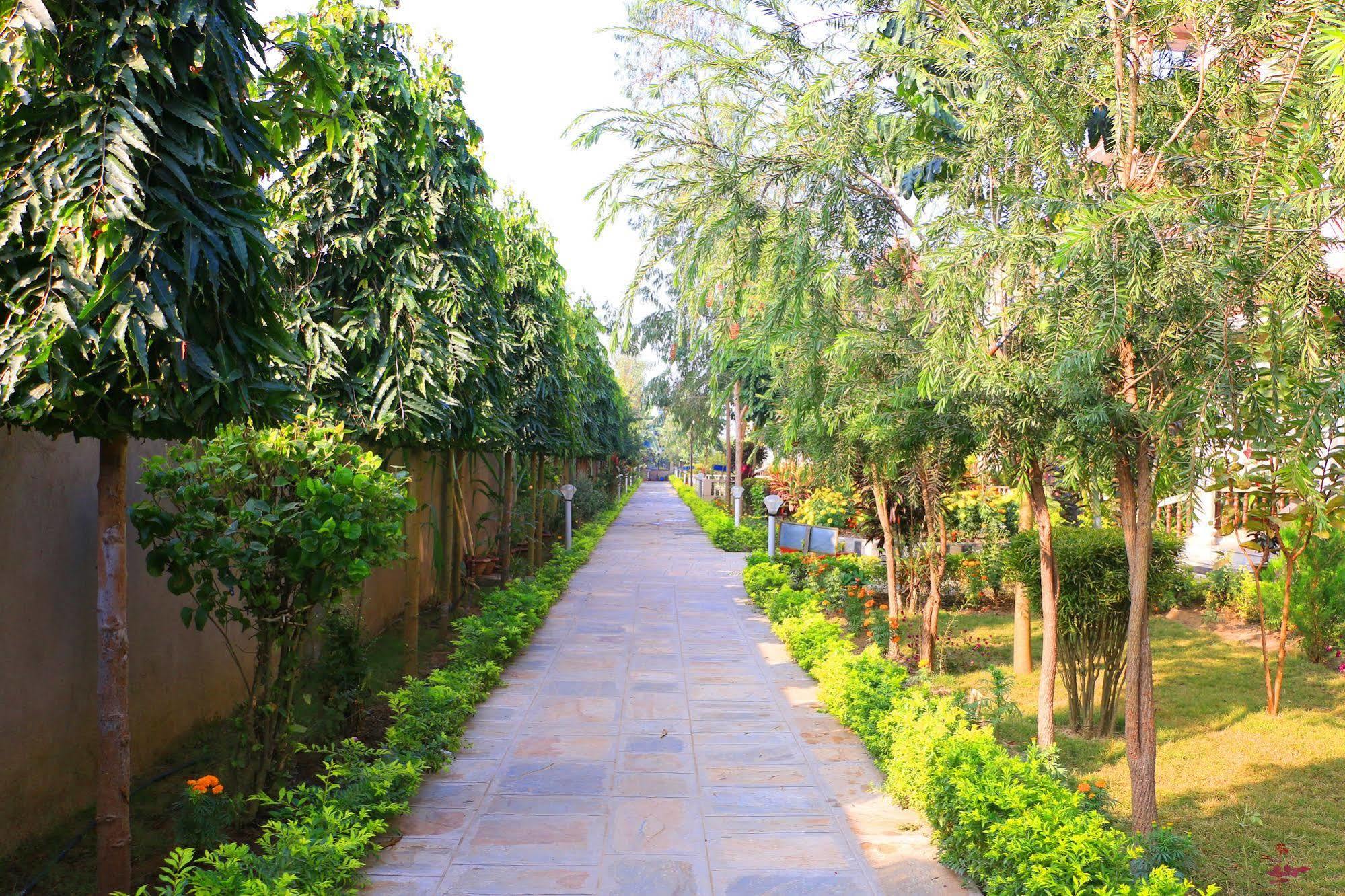 Hotel Royal Safari Sauraha Kültér fotó